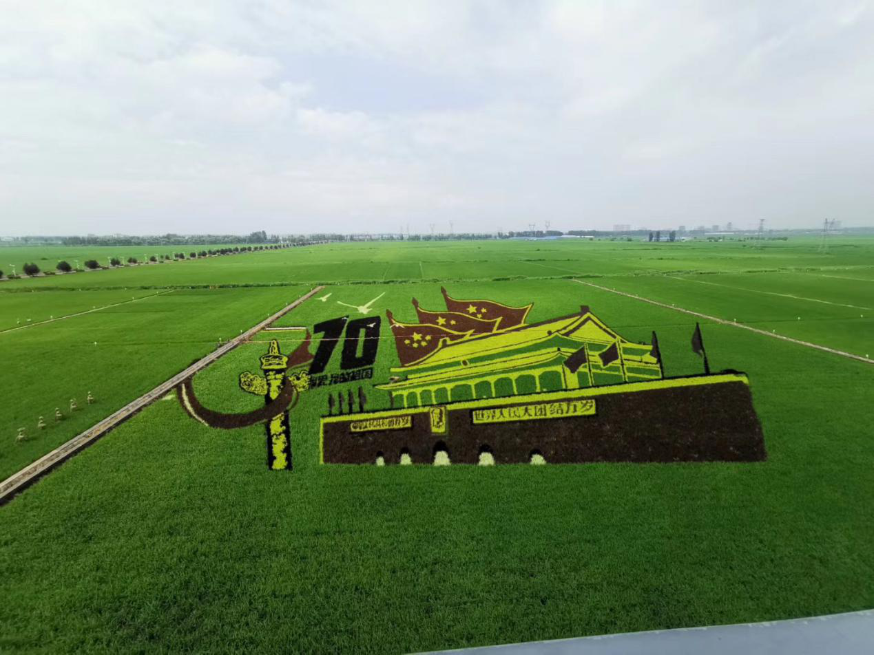 1576650093523706.png 圖片5.png