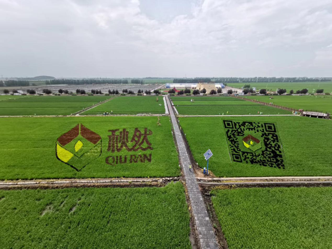 1576650134227178.png 圖片7.png