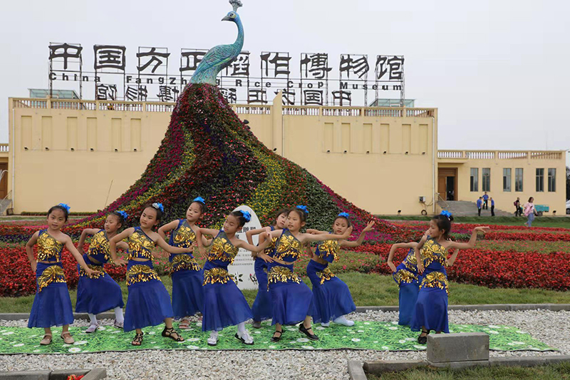 1576650984413821.jpg 1.jpg