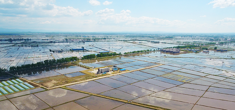 1598420137183119.png 圖片3.png