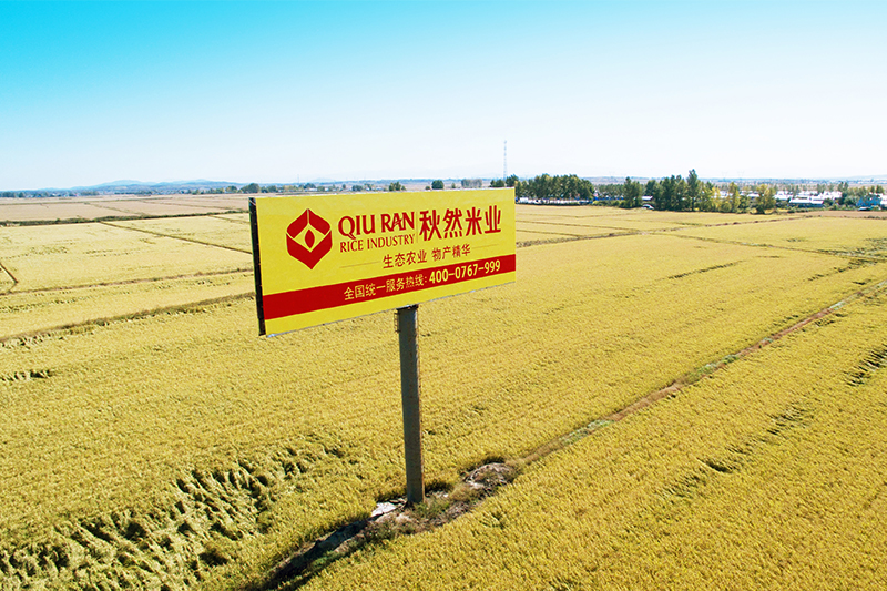 1598420152691902.png 圖片4.png