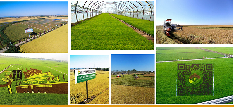 1620280669146778.jpg 圖片7.jpg