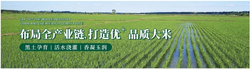 1635844095778117.jpg 640.webp (6).jpg