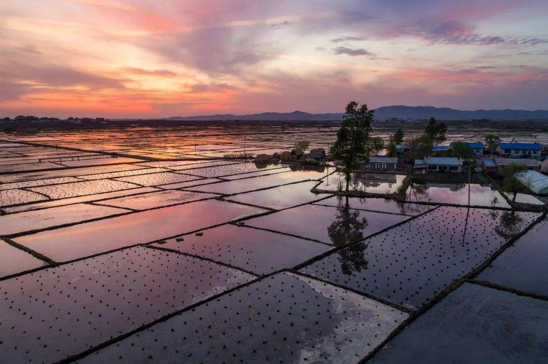 1652084398230790.jpg src=http%3A%2F%2F5b0988e595225.cdn.sohucs.com%2Fimages%2F20200229%2F3d53ef584dbd4798a14849bbbdd0c4f6.jpeg&refer=http%3A%2F%2F5b0988e595225.cdn.sohucs.jpg