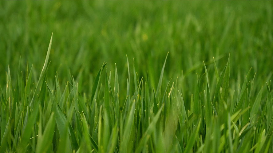 1652085515595284.png 3.png