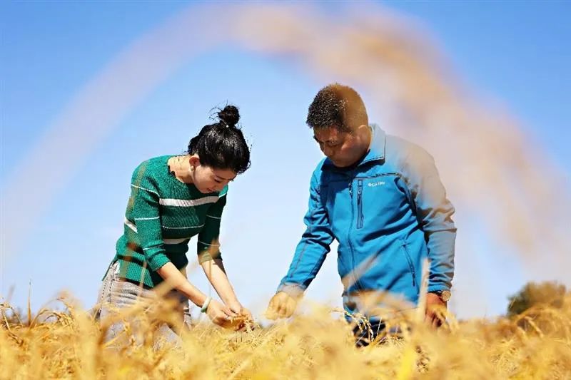 1652146853251380.jpg 640 (2).jpg