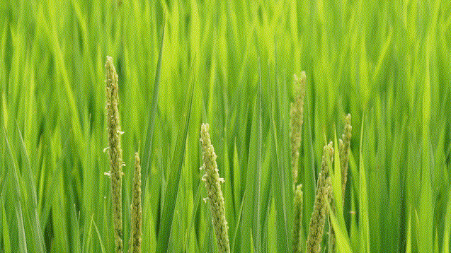 1652147261502267.png 微信截圖_20220510095007.png