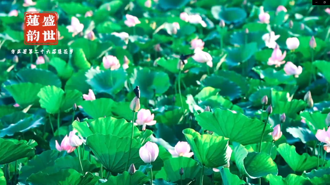 1668750252685696.png 微信圖片_20221118134107.png