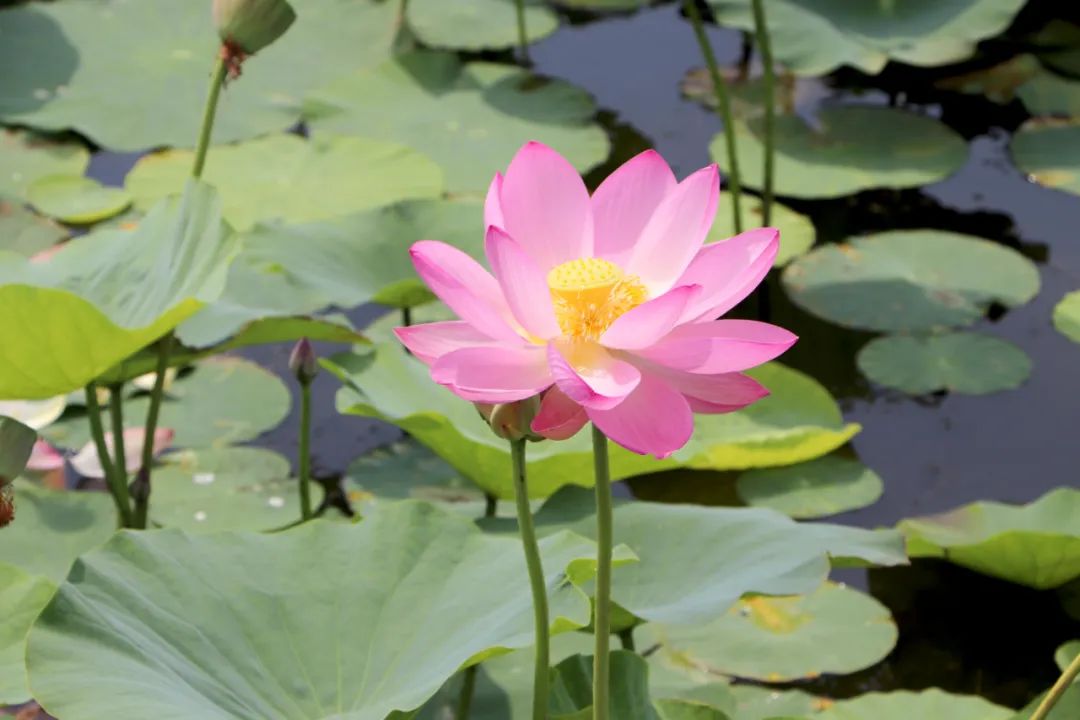 1668750295312424.jpg 微信圖片_20221118134120.jpg