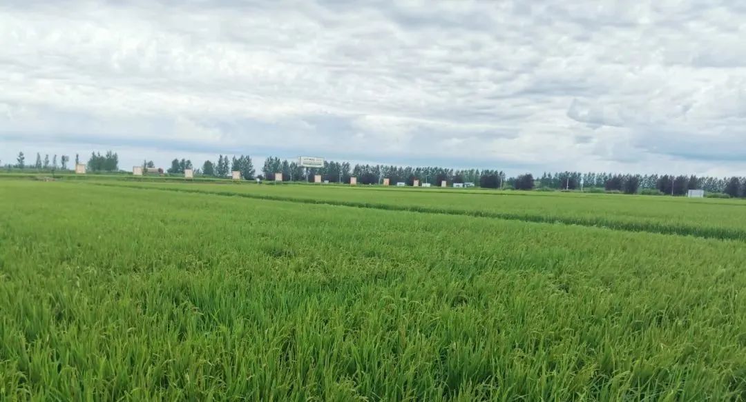 1668750794195737.jpg 微信圖片_20220930104553.jpg