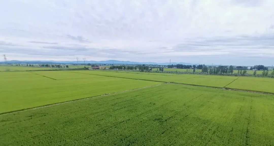 1668750829584980.jpg 微信圖片_20220930104543.jpg