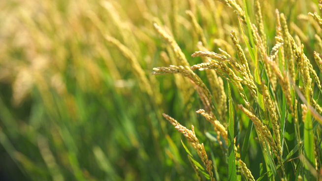 1668751125604960.png 微信圖片_20221118135554.png