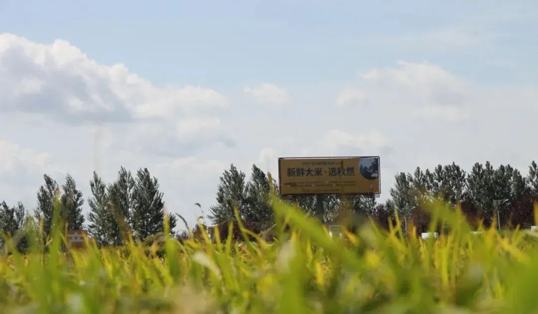 1668751133639560.jpg 微信圖片_20221118135558.jpg