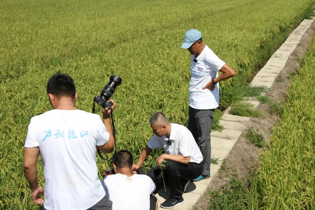 1668751145880812.jpg 微信圖片_20221118135605.jpg