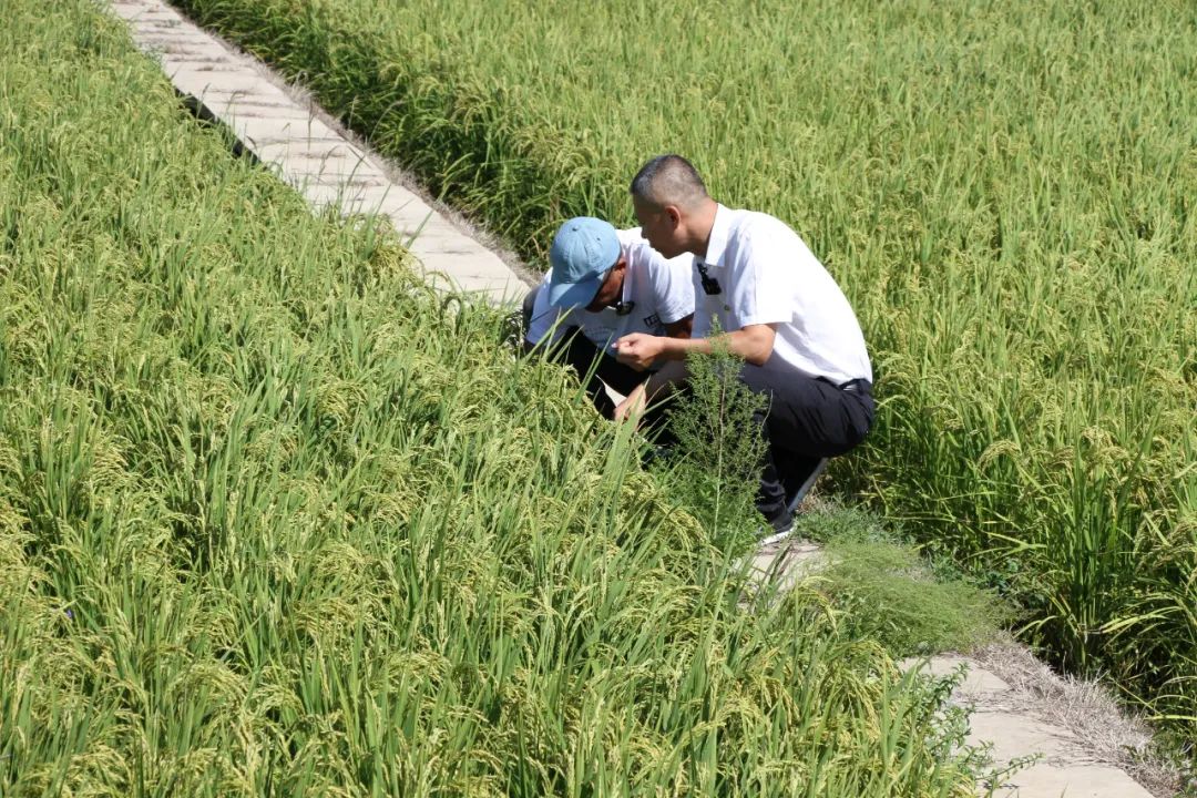 1668751153509371.jpg 微信圖片_20221118135609.jpg