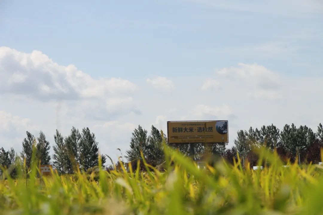 1668751165827316.jpg 微信圖片_20221118135612.jpg