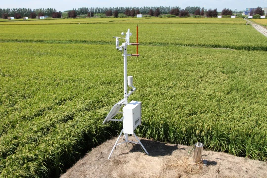 1668751173784035.jpg 微信圖片_20221118135616.jpg