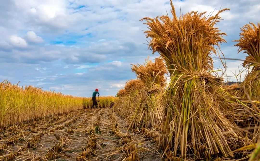 1668751363645698.jpg 微信圖片_20220930104034.jpg