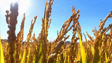 1668751393738607.gif 微信圖片_20220930104101.gif