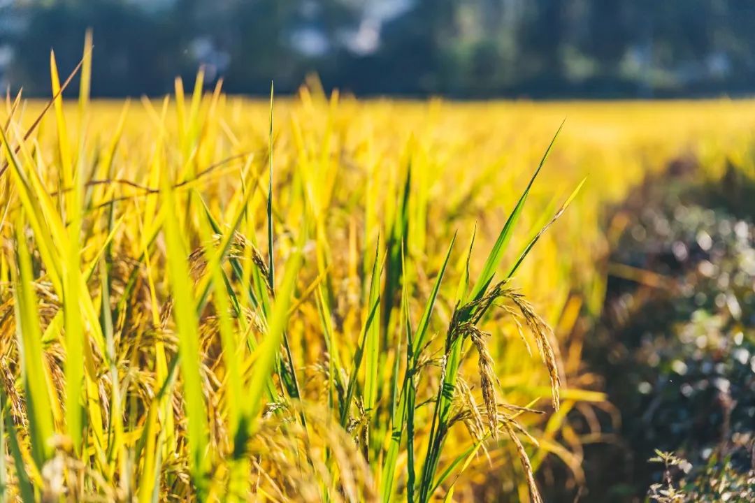 1668751436160311.jpg 微信圖片_20220930104128.jpg