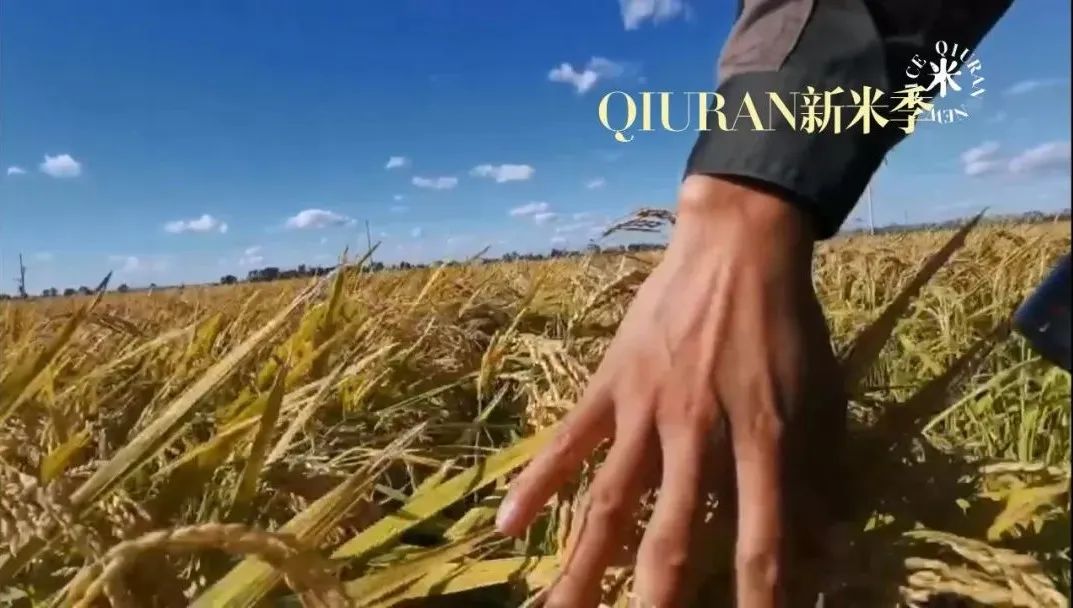 1668752175300796.jpg 微信圖片_20221118141211.jpg