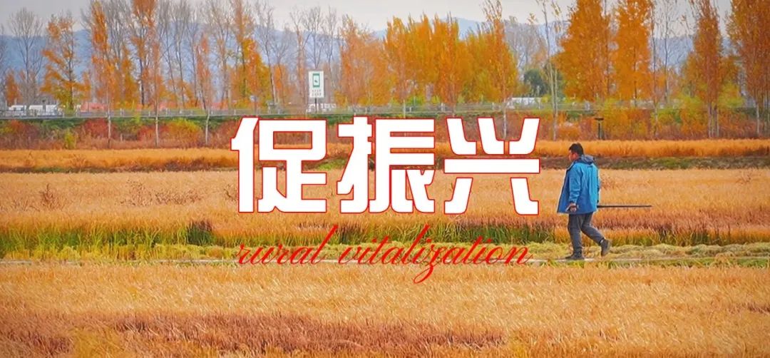 1668754529840437.jpg 微信圖片_20221118145144.jpg