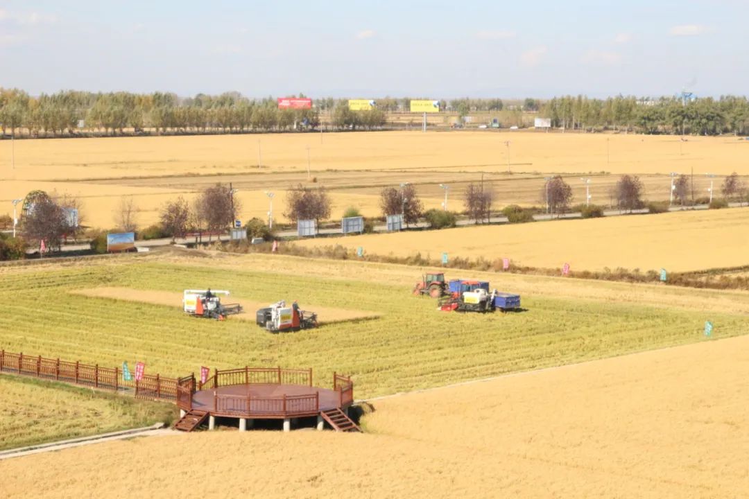 1668755126255031.jpg 微信圖片_20221118150123.jpg