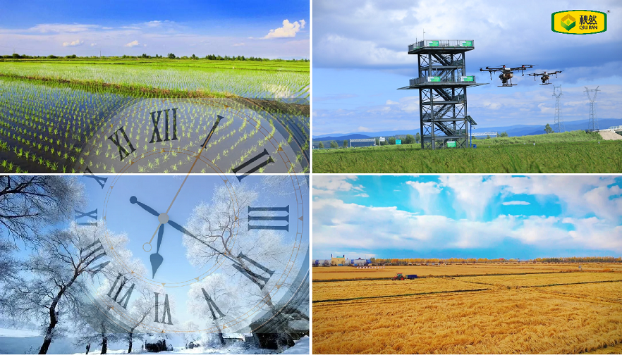 1668757100647755.png 圖片3.png