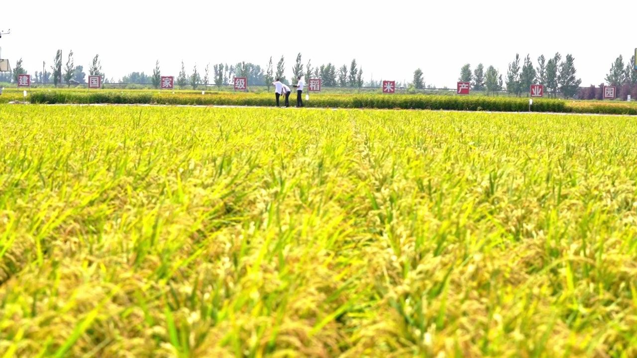 1670203551715128.jpg 微信圖片_20221205092200.jpg