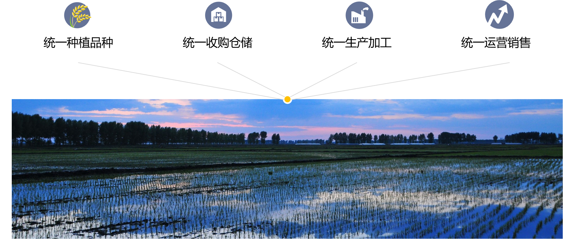 1671072527100781.png 四統(tǒng)一.png