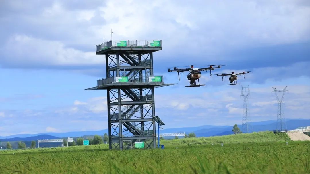 1685603119489483.jpg 640 (2).jpg