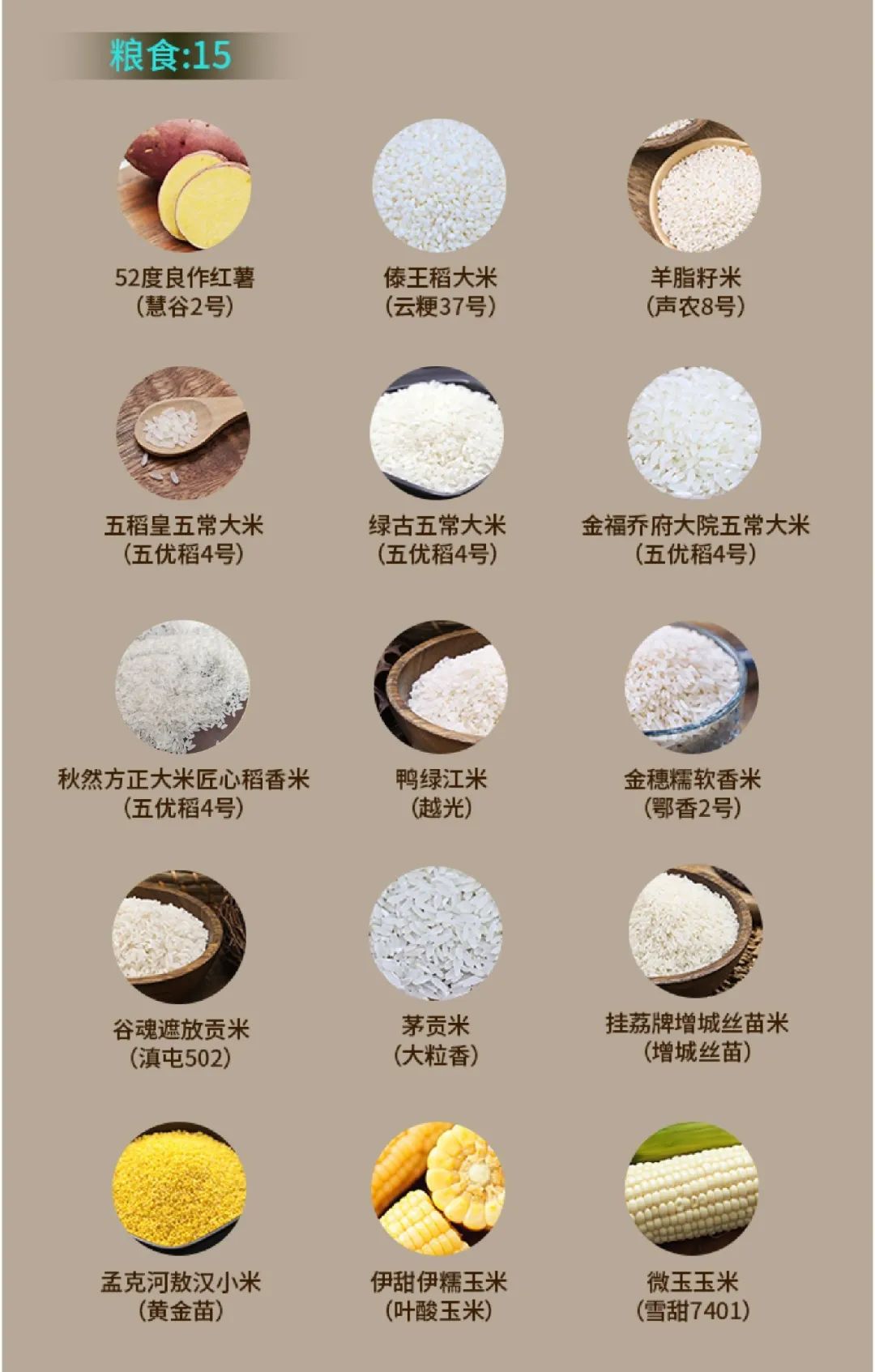 1685603630708317.jpg 640 (4).jpg