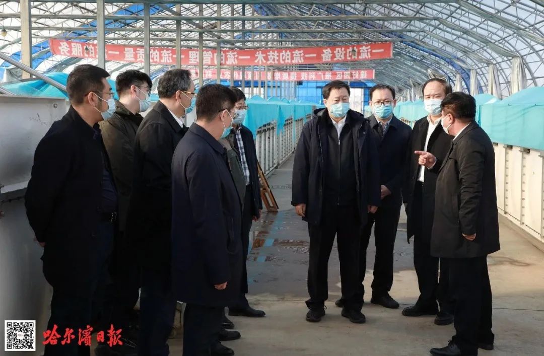 1685604234972658.jpg 640.jpg