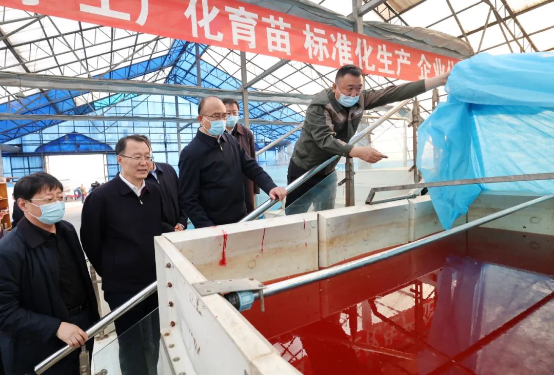 1685604437101498.jpg 640 (1).jpg