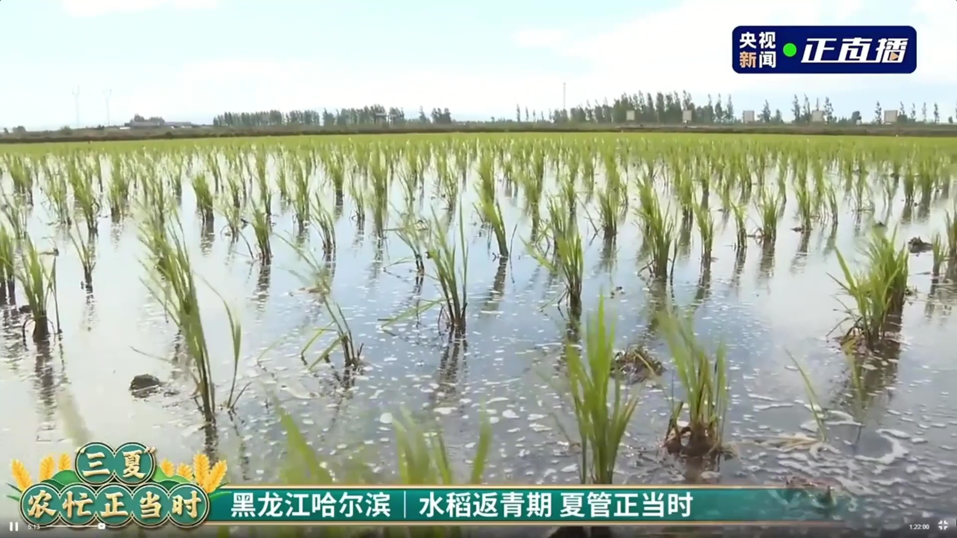 1705107554575370.jpg 2.jpg