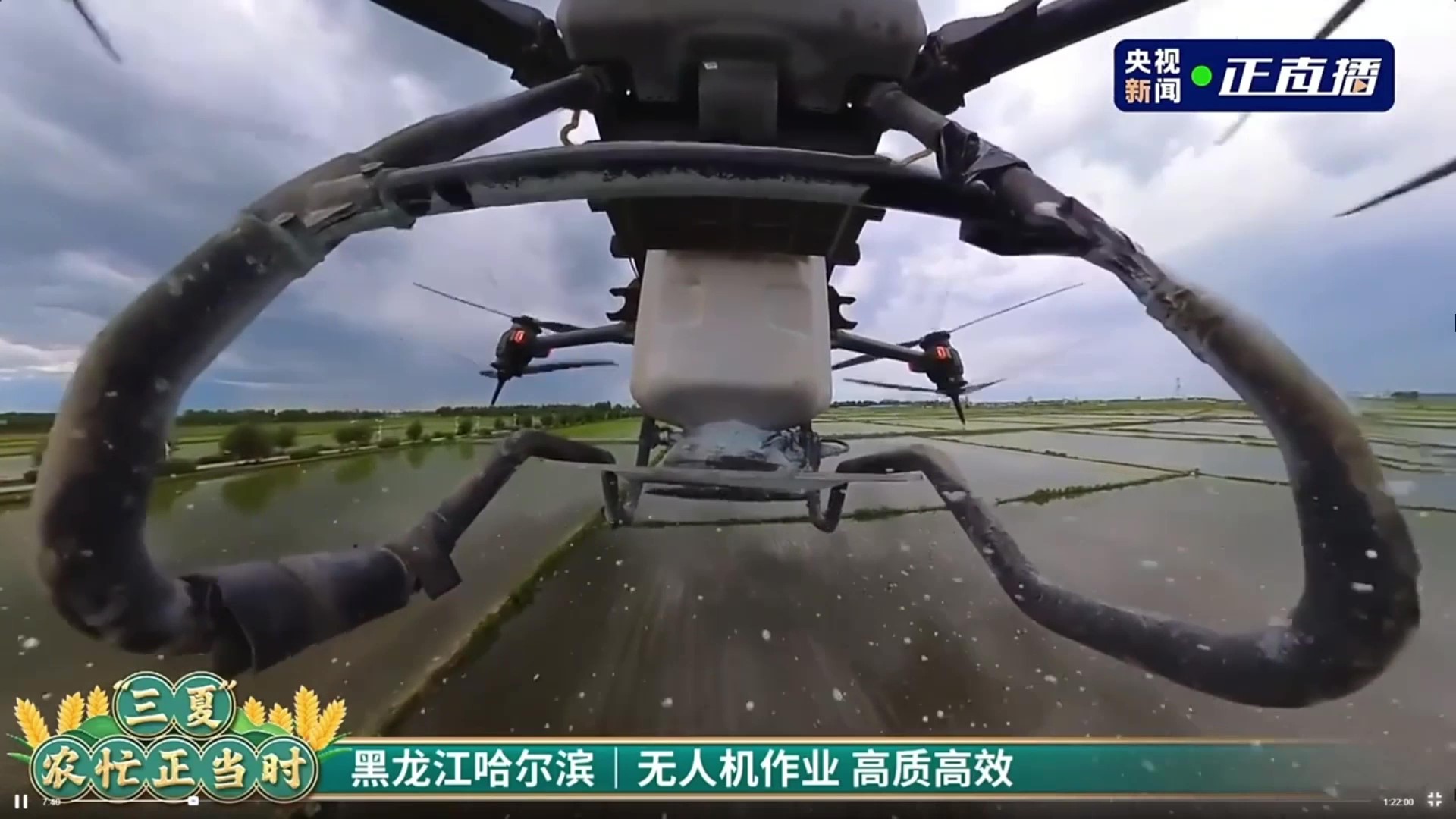 1705107569616968.jpg 5.jpg