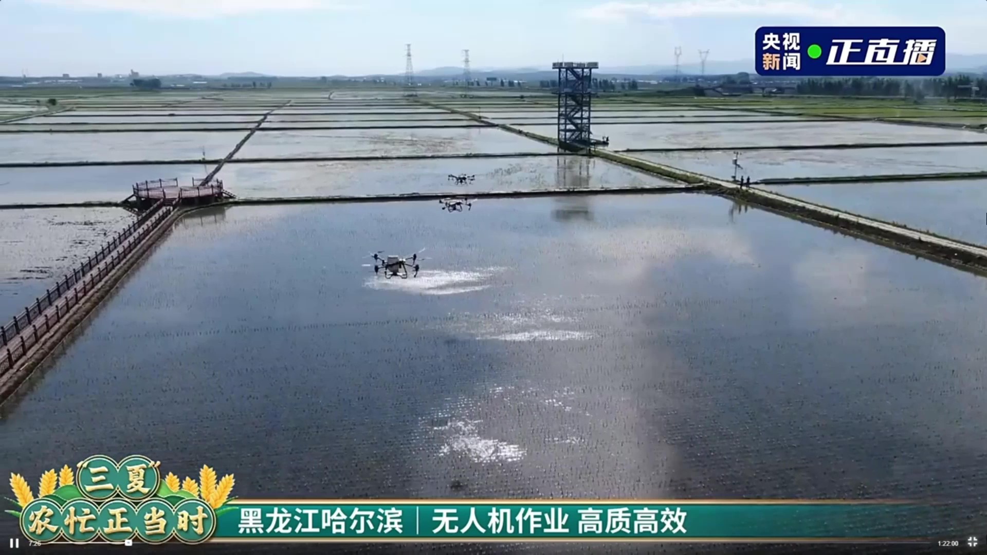 1705107599332765.jpg 4.jpg