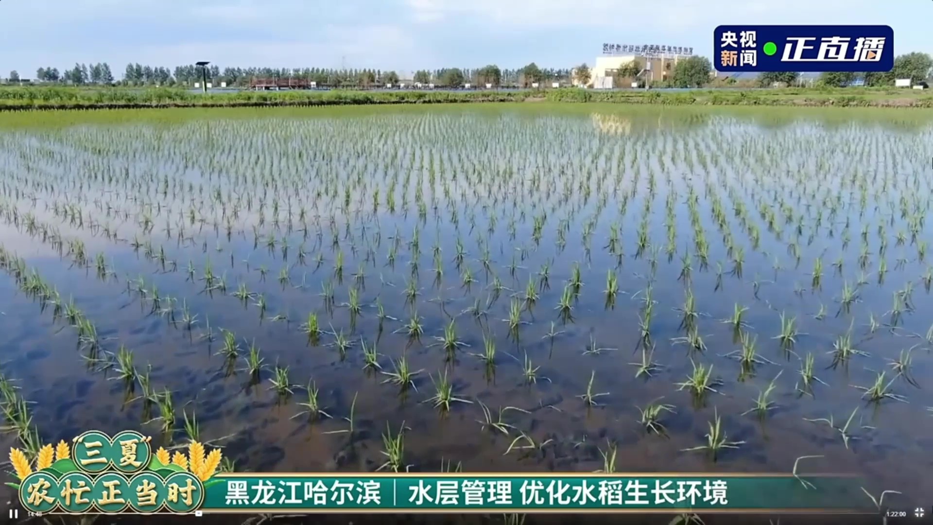 1705107682265732.jpg 10.jpg