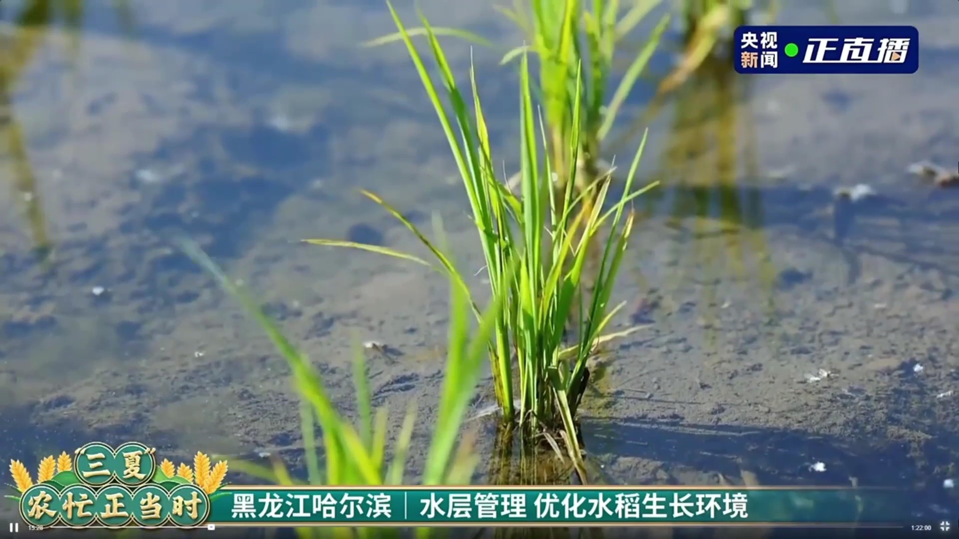 1705107717907208.jpg 12.jpg