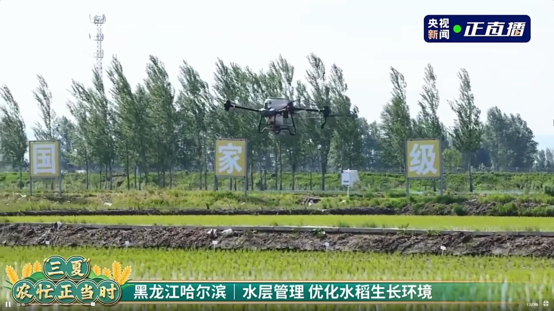 1705107779376683.jpg 8.jpg