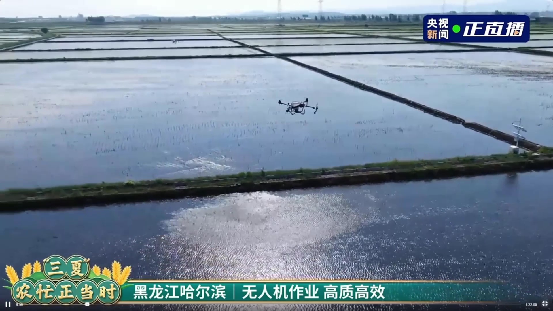 1705107818836432.jpg 7.jpg