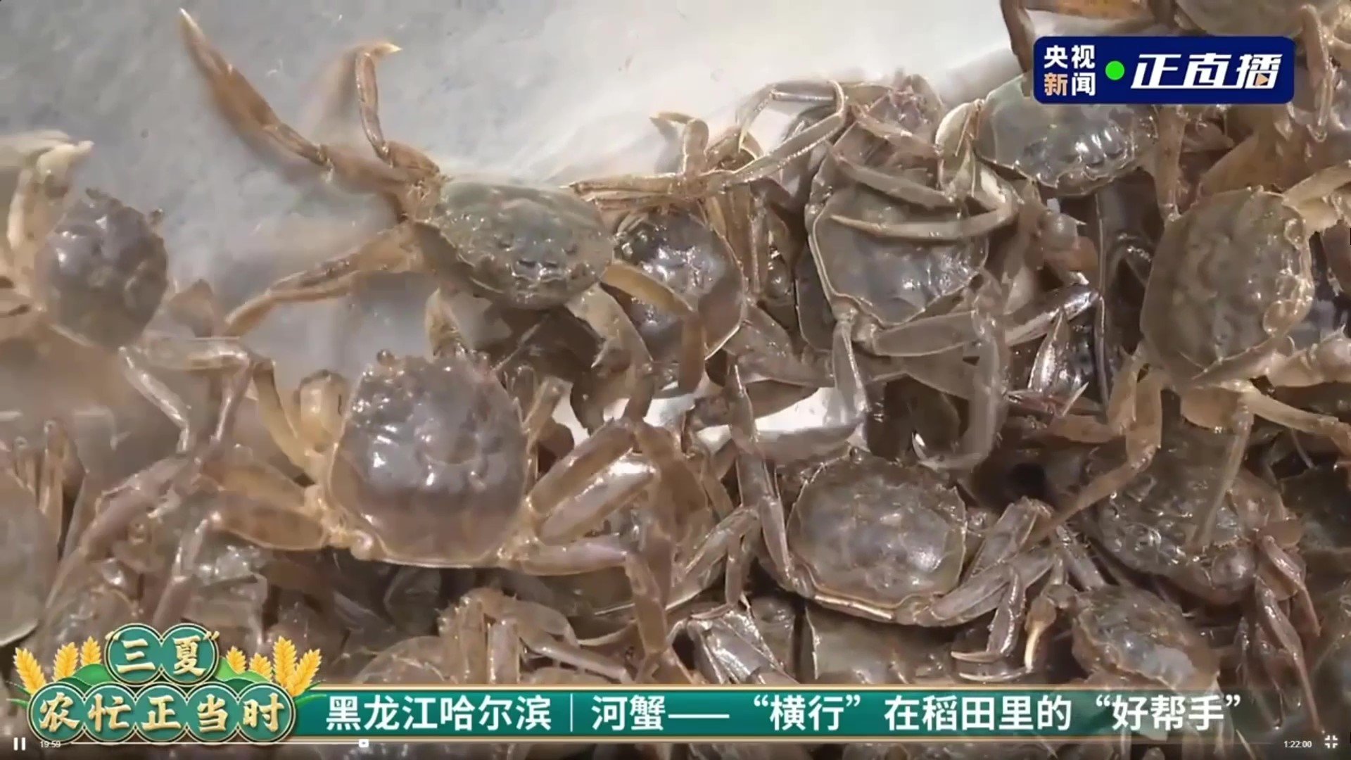 1705107868575169.jpg 14.jpg