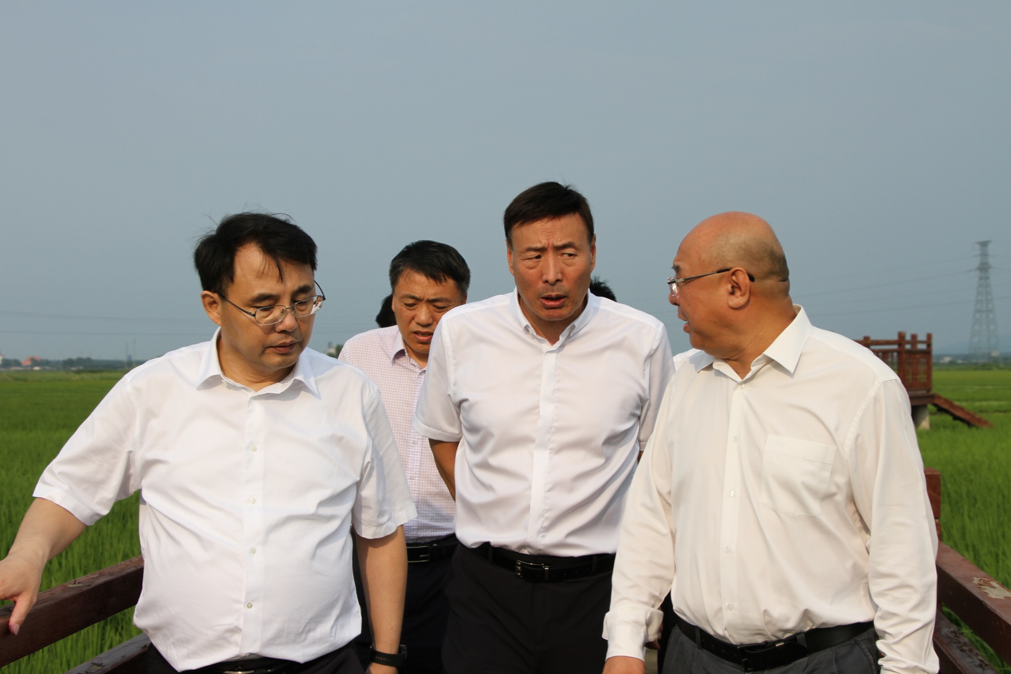 1705112384711356.jpg IMG_1278 - 副本.JPG