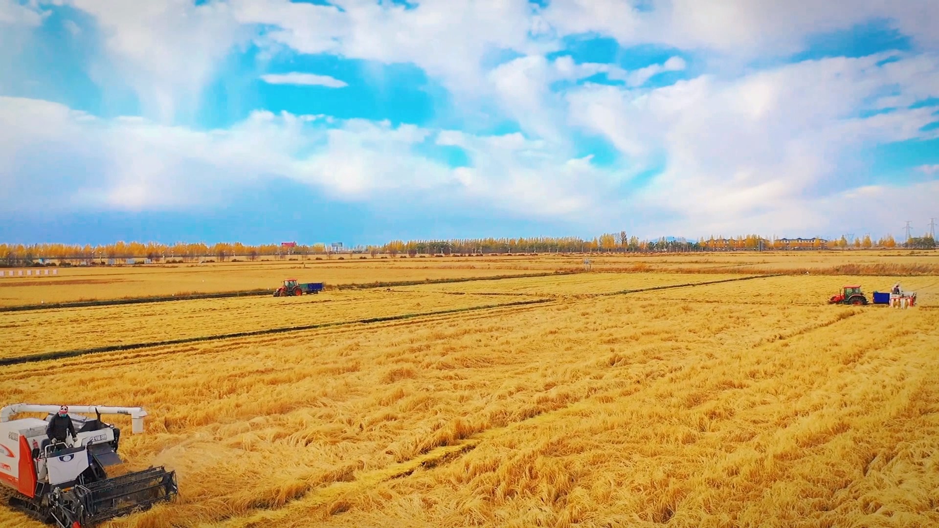 1705115755327615.jpg 網(wǎng)易提供 - frame at 0m10s.jpg